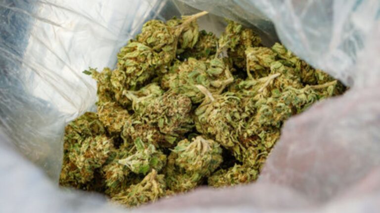 १ सय ७१ किलो गाँजासहित पक्राउ प्रकरणले देखायो नगद अर्थतन्त्रको खतरा, नोट खारेजी अपरिहार्य