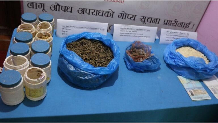 नगदको भरले अपराध बढ्दै : १६ जना लागुऔषध कारोबारी पक्राउको पृष्ठभूमि र नोट खारेजीको आवश्यकता