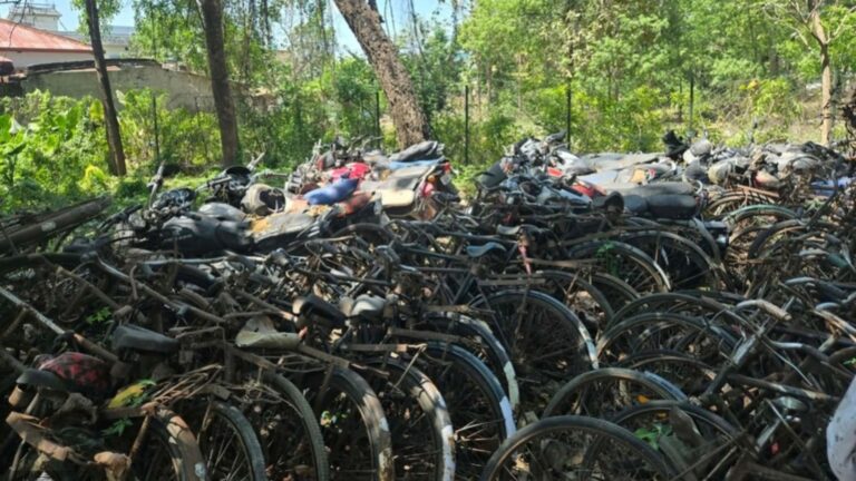 वन क्षेत्रबाट काठ तथा साइकल जफत: राजस्व संकलनमा ठूलो सफलता