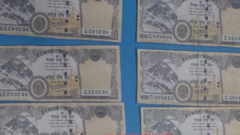 ठमेलमा नक्कली नोटसहित पक्राउ : नगद अर्थतन्त्रकै उपज
